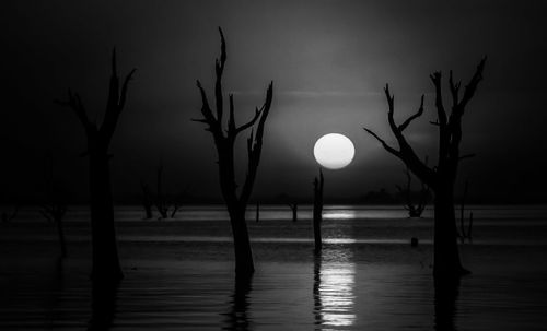 Silhouette bare tree by lake against sky