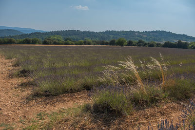 View of fields against mountain range