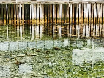 Reflection of lake in puddle