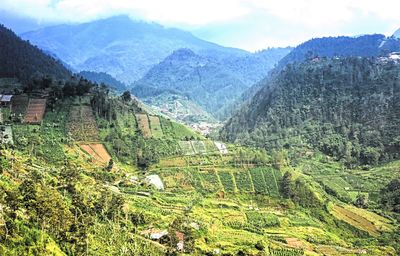 Scenic view of agricultural landscape against sky