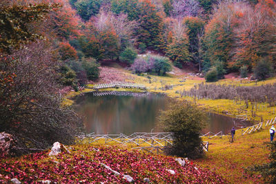 Scenic view of lake in forest during autumn