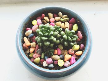 High angle view of salad in bowl