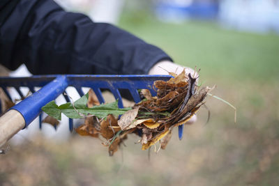 Close-up of hand removing leaves from gardening equipment