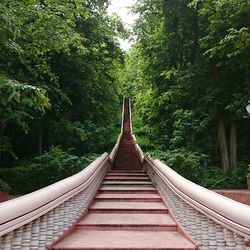 Footbridge in forest