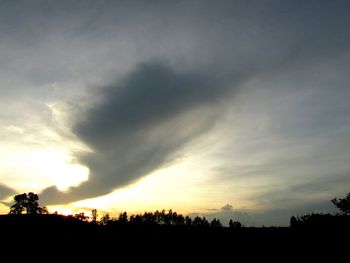 Low angle view of silhouette trees against sky during sunset