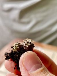 Close-up of hand holding a animal