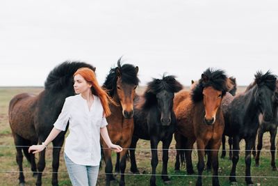 Horses standing on field against clear sky