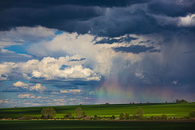 Scenic view of agricultural field against sky