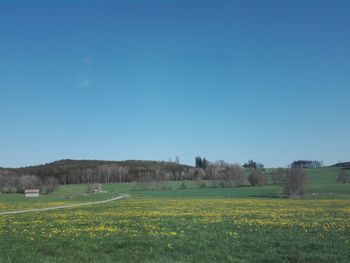 Scenic view of field against clear blue sky