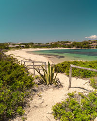 Scenic view of beach against clear blue sky