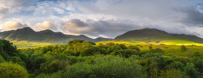 Green forest and mountain range illuminated by sunlight, macgillycuddys reeks mountains, ireland