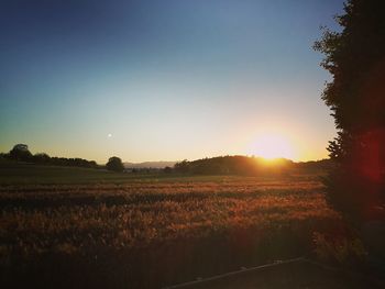 Scenic view of field against sky at sunset