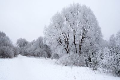 Bare trees on snow covered field against sky