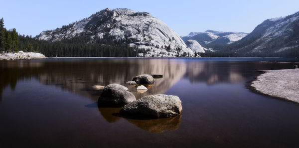 Ducks on rock by lake against clear sky