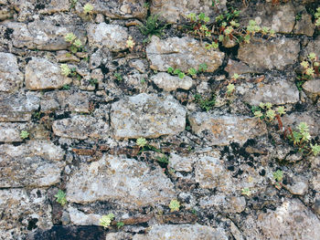 Full frame shot of stone wall