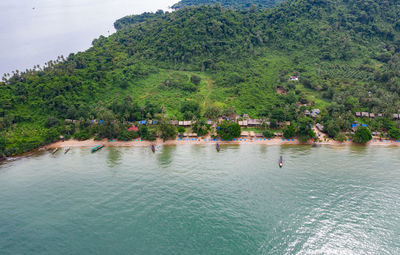 High angle view of trees by sea