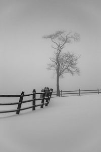 Bare tree by fence against sky during winter