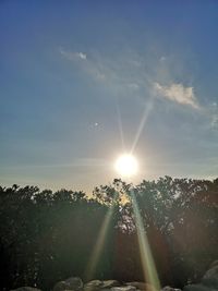 Sunlight streaming through trees against sky during sunset