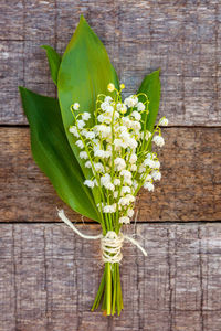 Close-up of potted plant on table