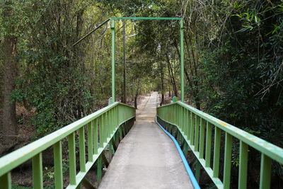 Footbridge amidst trees in forest