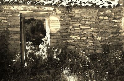 Brick wall of old building