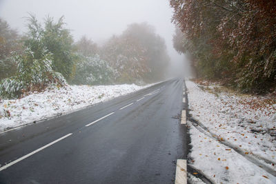 Road amidst trees during winter