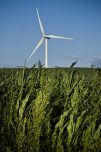 Wind turbines on field against clear sky