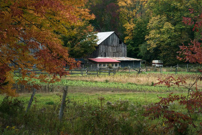 House amidst trees on field during autumn