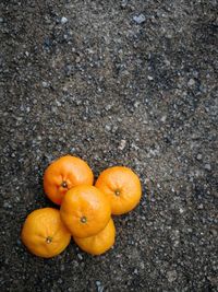 High angle view of oranges