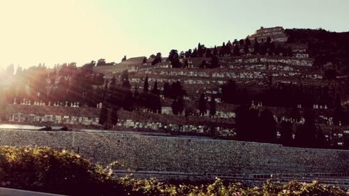 Houses at sunset