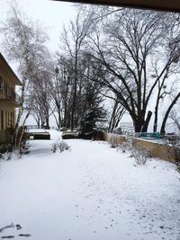 Snow covered trees in winter