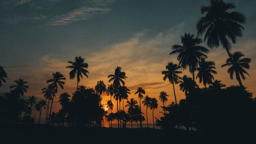 Silhouette palm trees against sky during sunset