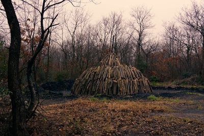 Stack of firewood on field against clear sky