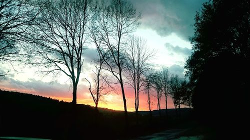 Silhouette trees against sky during sunset