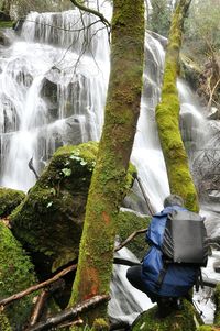 Scenic view of waterfall in forest