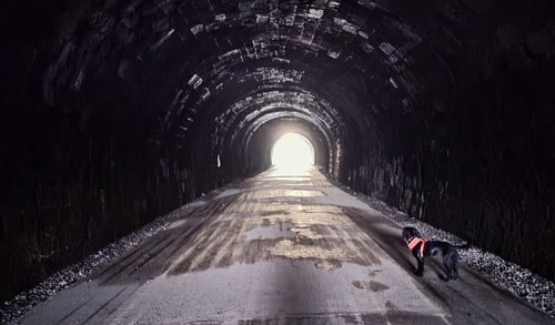 tunnel