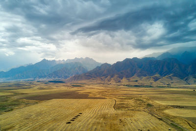 Scenic view of landscape against sky