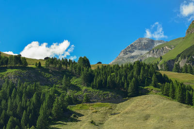 Panoramic view of landscape against sky