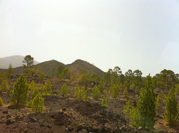 Scenic view of mountains