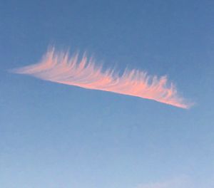 Low angle view of vapor trail in sky