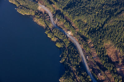 High angle view of trees on land