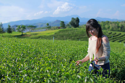 Contemplating woman picking leaves in tea plantation field against sky