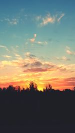 Silhouette of trees at sunset