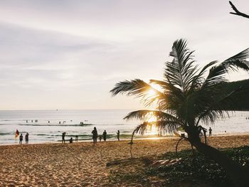Palm trees on beach against sky during sunset