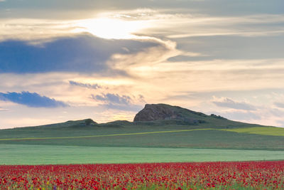 Scenic view of field against sky during sunset