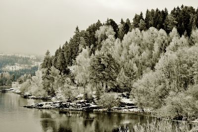 Scenic view of river against clear sky