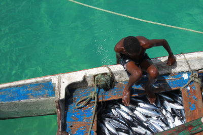 High angle view of man in swimming pool