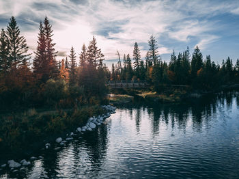 Scenic view of river in forest against sky