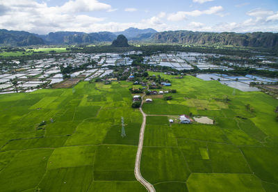 Rammang rammang and the rice field in the foreground in maros - south sulawesi indonesia. 