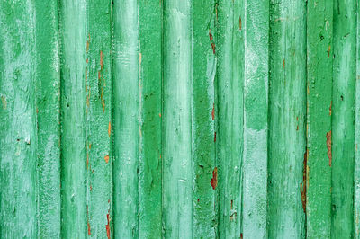 Old green painted wooden fence background